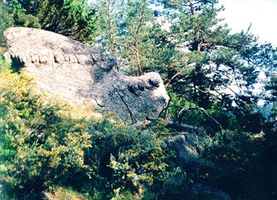 Jertvenik-konska chelust